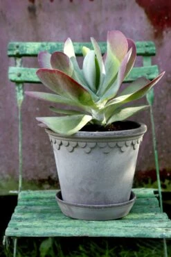 Bergs Potter Copenhagen Topf Grau, 25 Cm -Gartenmöbel Geschäft bergs potter copenhagen topf grau 3