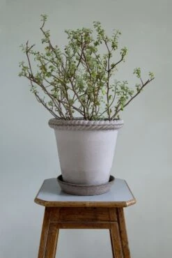 Bergs Potter Emilia Topf Grau, 30 Cm -Gartenmöbel Geschäft bergs potter topf emilia grau 1