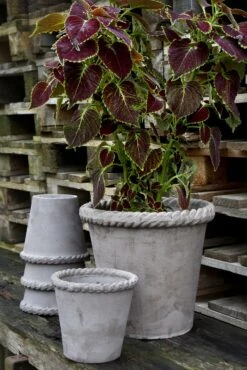 Bergs Potter Emilia Topf Grau, 35 Cm -Gartenmöbel Geschäft bergs potter topf emilia grau 3 1