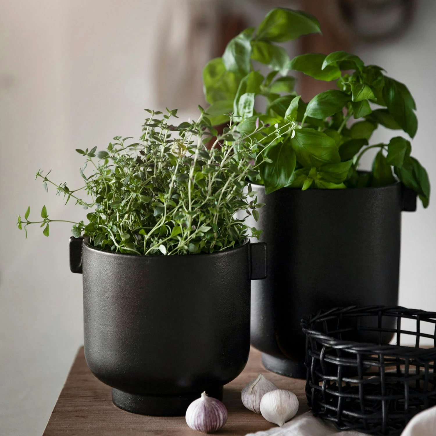 Ernst Blumentopf Mit Ohren H18 Cm, Schwarz 2 Ernst Blumentopf Mit Ohren H18 Cm, Schwarz – Bild 2