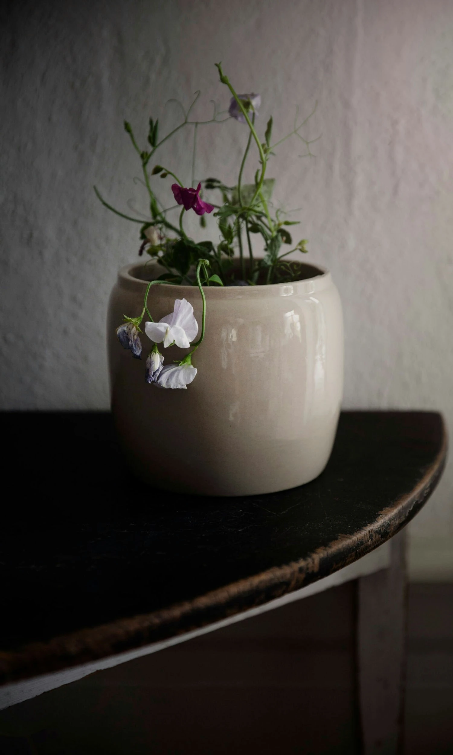 Ernst Topf Glasiert Steingut Ø14 Cm, Beige 2 Ernst Topf Glasiert Steingut Ø14 Cm, Beige – Bild 2