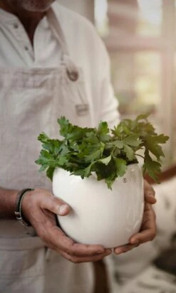 Ernst Topf Glasiert Steingut Ø14 Cm, Weiß -Gartenmöbel Geschäft ernst topf glasiert steingut 7