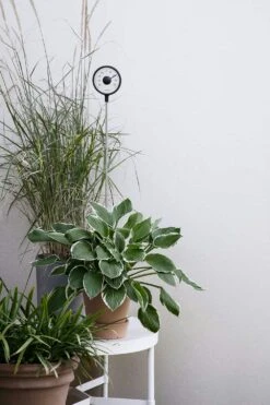 Eva Solo Thermometer Stehend -Gartenmöbel Geschäft eva solo thermometer stehend 0