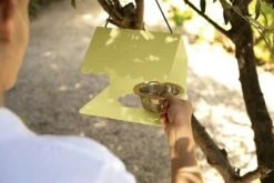 Picoti Vogelfutterhäuschen, Clay Grey -Gartenmöbel Geschäft fermob picoti bird feeder clay grey 3