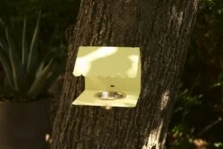 Picoti Vogelfutterhäuschen, Clay Grey -Gartenmöbel Geschäft fermob picoti bird feeder clay grey 4