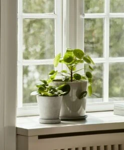 Hay Flowerpot Topf Mit Unterteller Grau, Ø17.5 Cm L -Gartenmöbel Geschäft hay blumentopf mit untersetzer grau 10