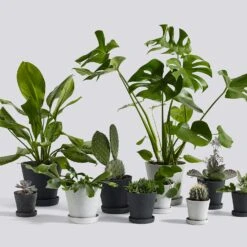 Hay Flowerpot Topf Mit Unterteller Grau, Ø17.5 Cm L -Gartenmöbel Geschäft hay blumentopf mit untersetzer grau 3