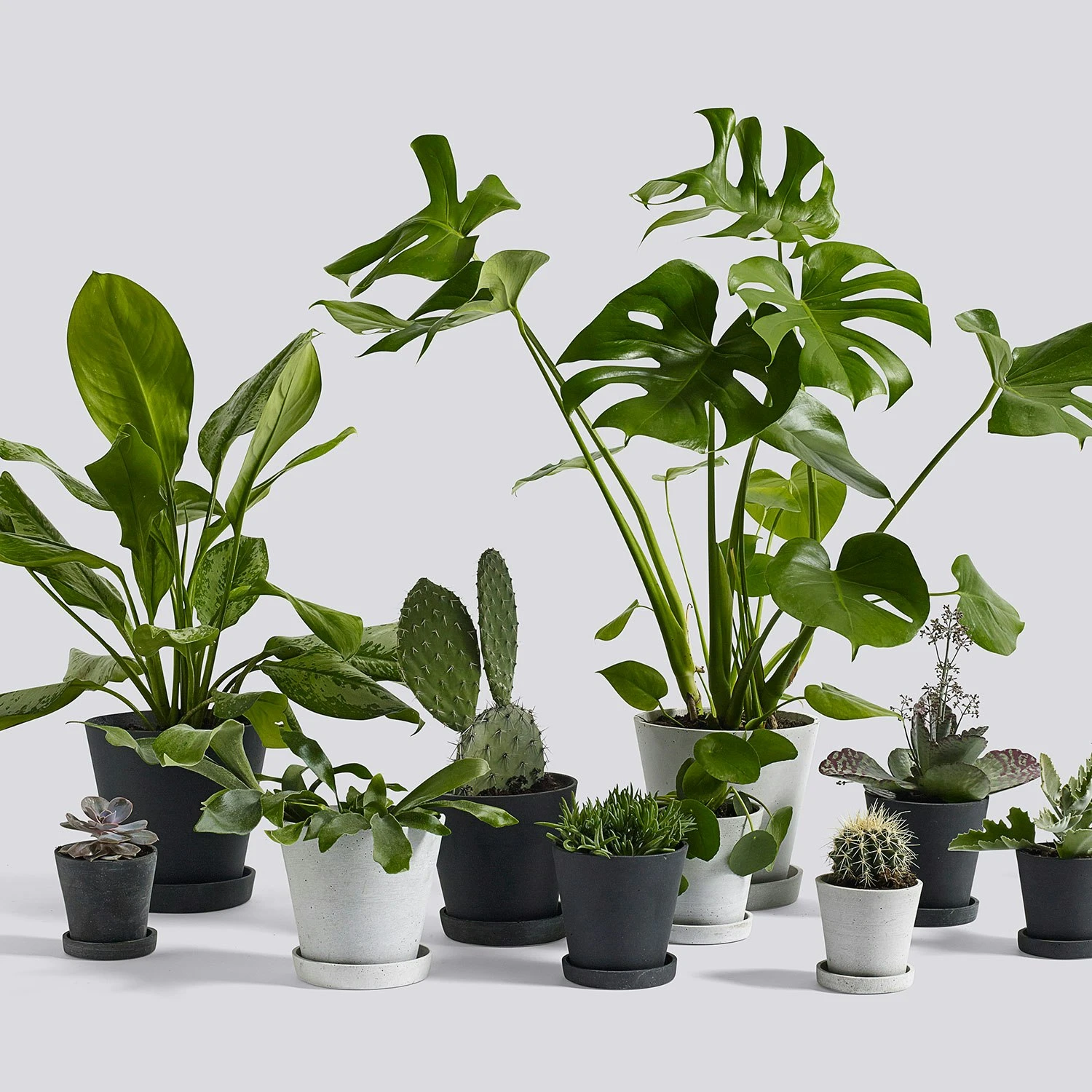 Hay Flowerpot Topf Mit Unterteller Schwarz, Ø17.5 Cm L 2 Hay Flowerpot Topf Mit Unterteller Schwarz, Ø17.5 Cm L – Bild 2