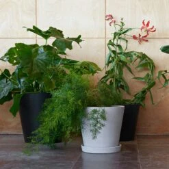 Hay Flowerpot Topf Mit Unterteller Schwarz, Ø21.5 Cm XL 7 Hay Flowerpot Topf Mit Unterteller Schwarz, Ø21.5 Cm XL -Gartenmöbel Geschäft hay blumentopf mit untersetzer schwarz 2