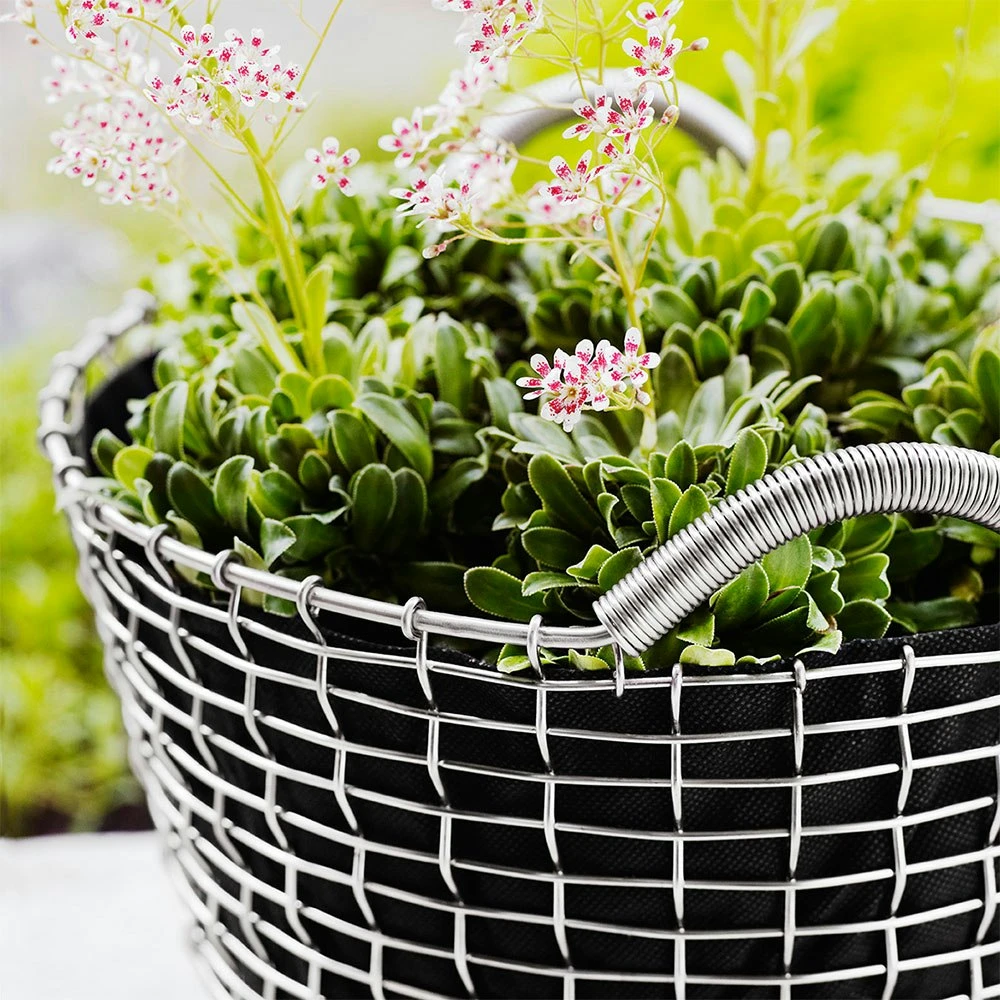 Korbo Classic 24 Korb, Säurefest Edelstahl 2 Korbo Classic 24 Korb, Säurefest Edelstahl – Bild 2