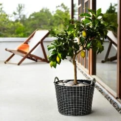 Korbo Classic 24 Korb, Säurefest Edelstahl 6 Korbo Classic 24 Korb, Säurefest Edelstahl -Gartenmöbel Geschäft korbo klassisch 24 korb saurebestandig rostfrei 6