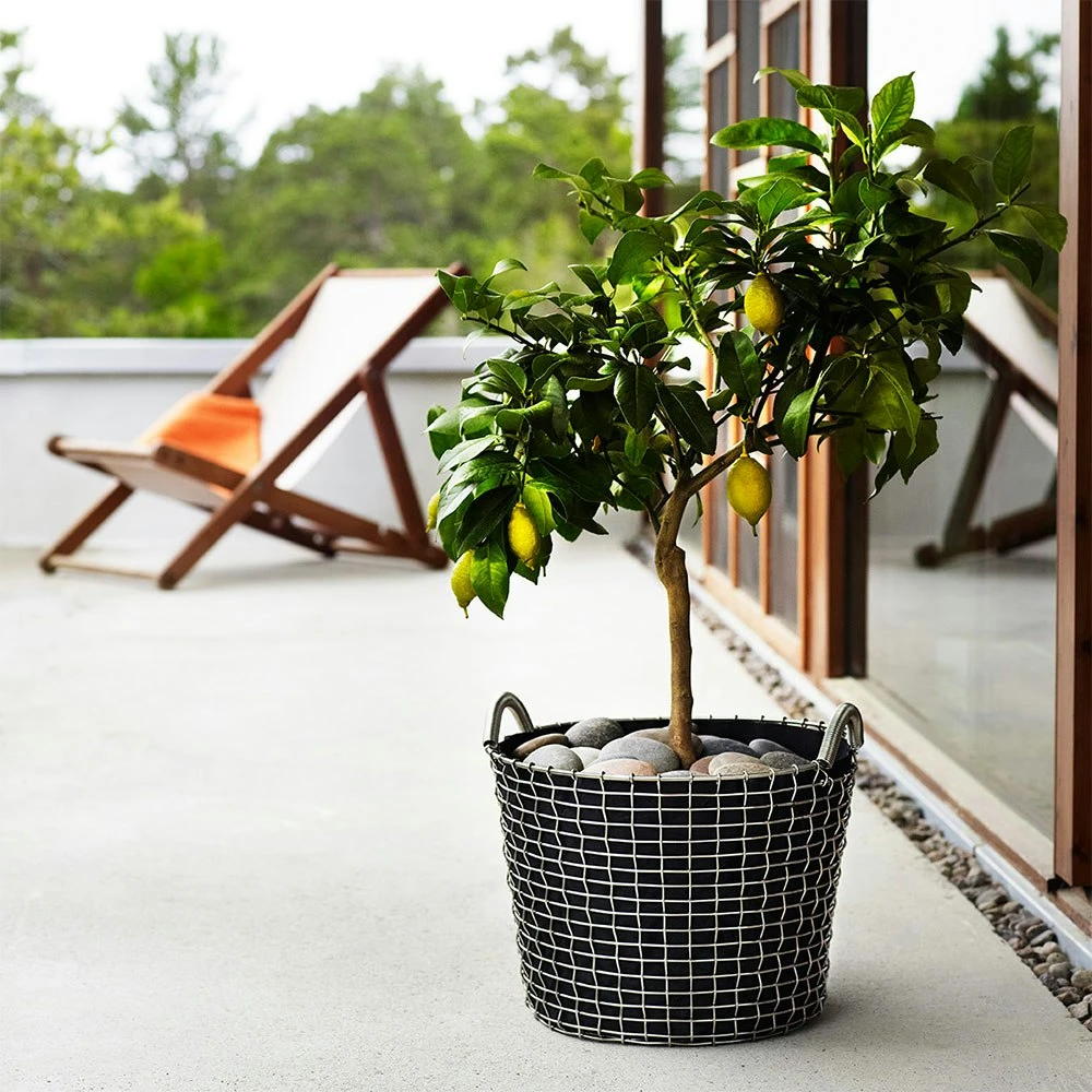 Korbo Classic 24 Korb, Säurefest Edelstahl 3 Korbo Classic 24 Korb, Säurefest Edelstahl – Bild 3