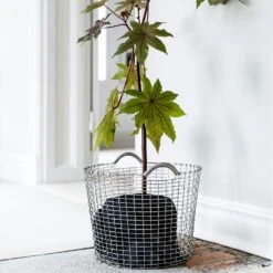 Korbo Klassisch 50 Korb, Verzinkt -Gartenmöbel Geschäft korbo klassisch 24 korb verzinkt 13