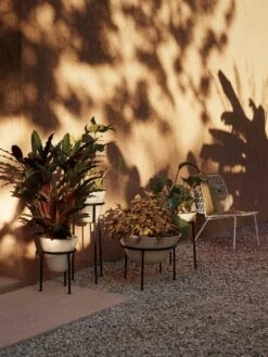 Menu Daiza Übertopf Ivory, Ø25x65 Cm 7 Menu Daiza Übertopf Ivory, Ø25x65 Cm -Gartenmöbel Geschäft menu daiza planter h35 25 ivory 10