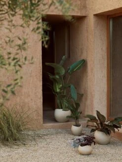 Menu Plantas Übertopf Ivory, 26 Cm -Gartenmöbel Geschäft menu plantas planter h 17 ivory 14