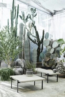 Muubs Kanji Dose, 22 Cm -Gartenmöbel Geschäft muubs kanji dose 10