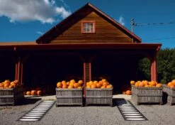 Ella Matte 70x225 Cm, Black/Vanilla 6 Ella Matte 70x225 Cm, Black/Vanilla -Gartenmöbel Geschäft pappelina ella matte 70x225 cm black vanilla 2