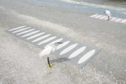 Ella Matte 70x225 Cm, Black/Vanilla 7 Ella Matte 70x225 Cm, Black/Vanilla -Gartenmöbel Geschäft pappelina ella matte 70x225 cm black vanilla 3