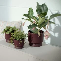 Ro Topf Bordeaux, 12 Cm -Gartenmöbel Geschäft rosendahl copenhagen ro topf bordeaux 2