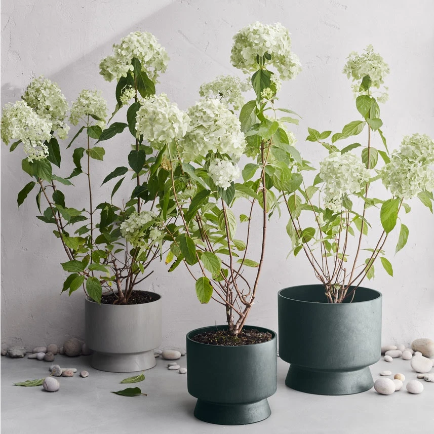 Ro Topf Dunkelgrün, Ø30 Cm 3 Ro Topf Dunkelgrün, Ø30 Cm – Bild 3