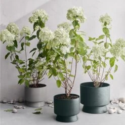 Ro Topf Dunkelgrün, Ø24 Cm -Gartenmöbel Geschäft rosendahl copenhagen ro topf dunkelgrun 14 2