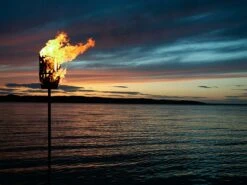 Feuerkorb Original, Ungebürstetes Stahl -Gartenmöbel Geschäft roshults feuerkorb original ungeburstetes stahl 5