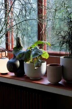 &Tradition Collect Übertopf Ø12x13 Cm, Sage -Gartenmöbel Geschäft tradition collect ubertopf sc69 dia12 x h13 cm 2