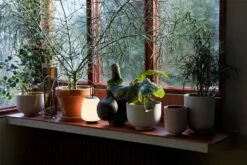 &Tradition Collect SC71 Übertopf Ø24x18 Cm, Hellgrau 8 &Tradition Collect SC71 Übertopf Ø24x18 Cm, Hellgrau -Gartenmöbel Geschäft tradition collect ubertopf sc71 dia24 x h18 cm 2 1