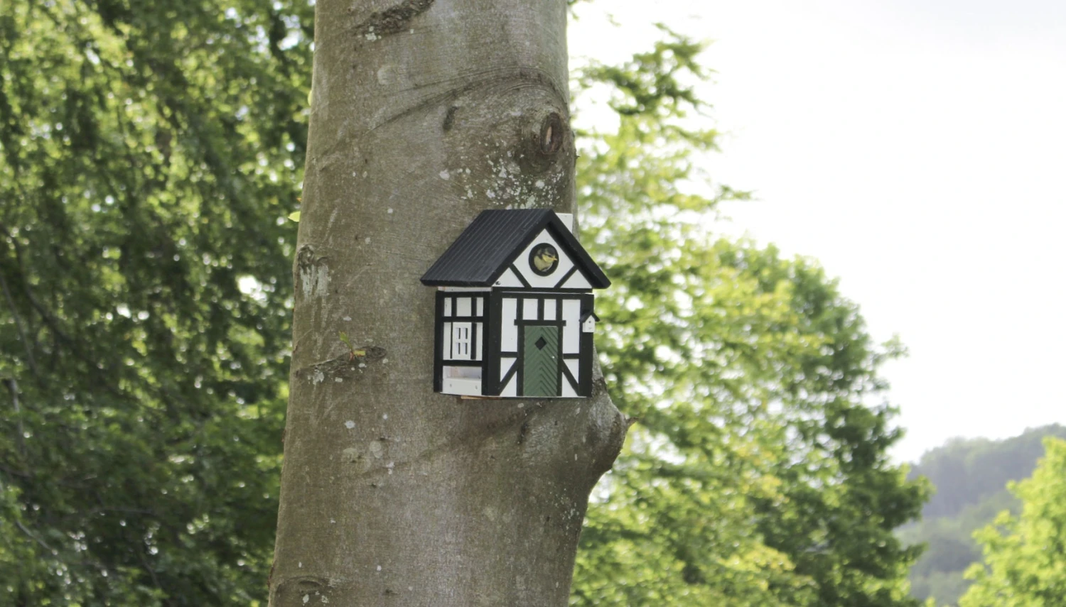 Multiholk Half Timber 2 Multiholk Half Timber – Bild 2